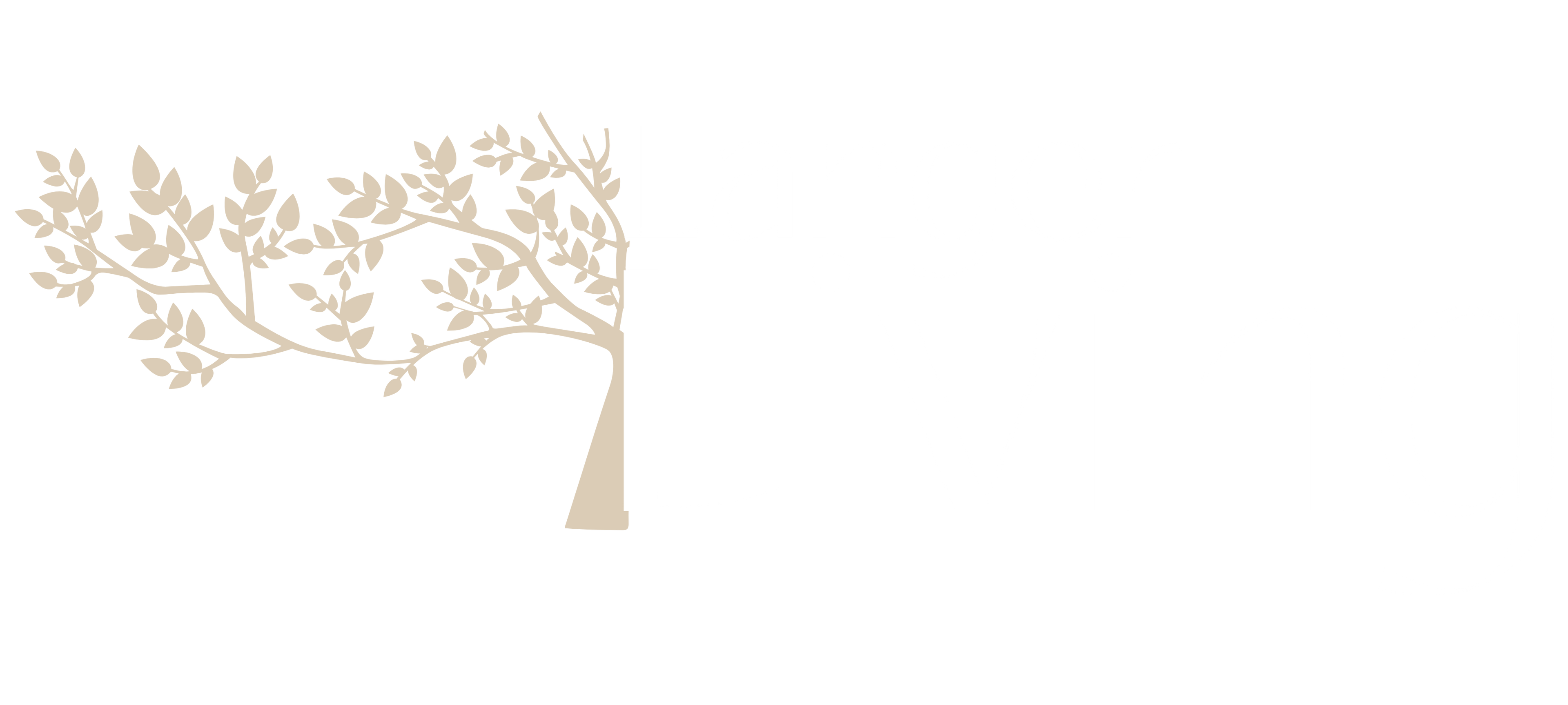 langer.living